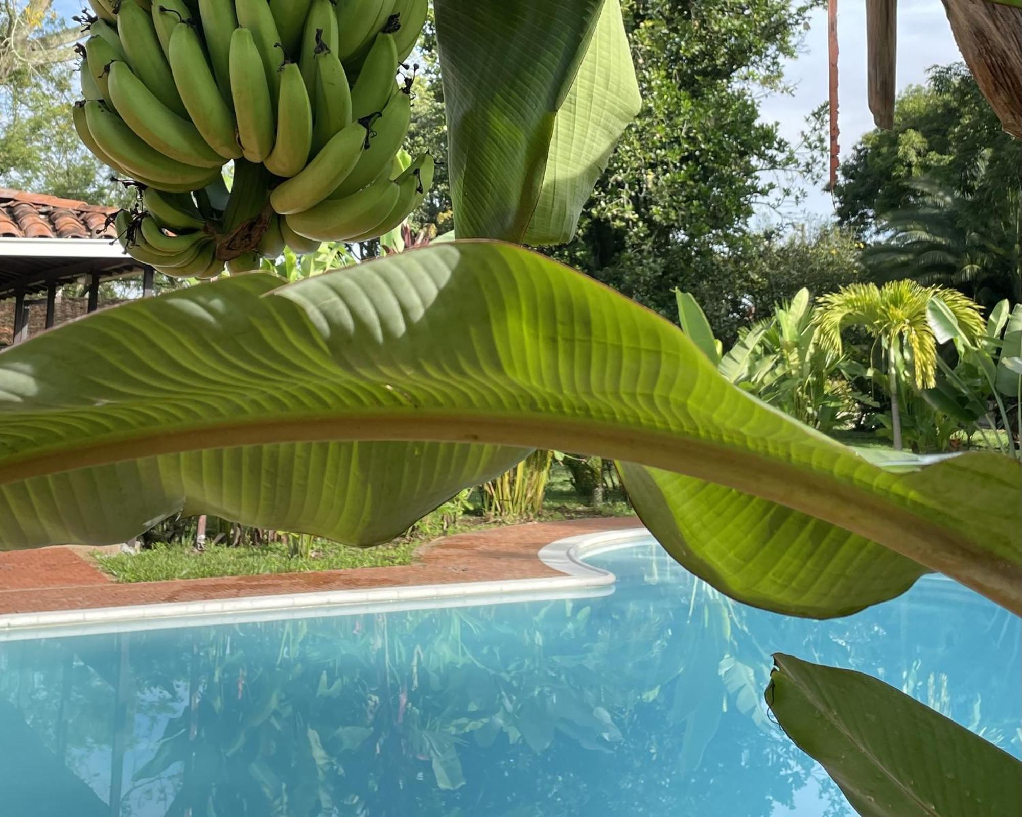 Muchosur Quimbaya Hotel Buitenkant foto